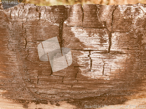 Image of  Burned wood vintage