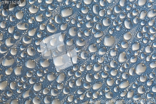 Image of Shiny WaterDroplets