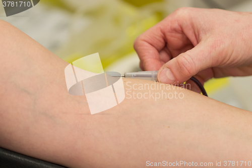 Image of Donor in an armchair donates blood, inserting the needle