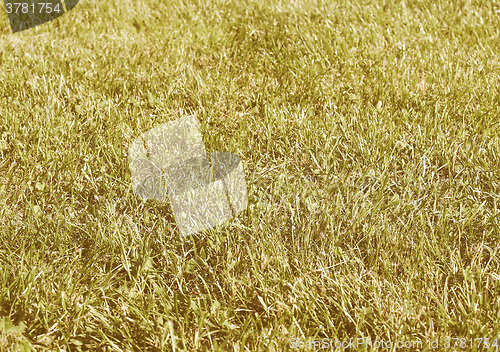 Image of Retro looking Meadow