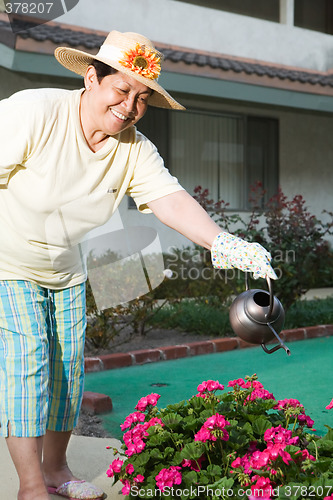 Image of Senior gardener