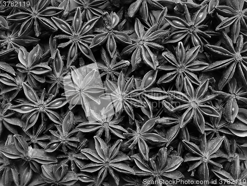 Image of Star anise as an abstract background texture
