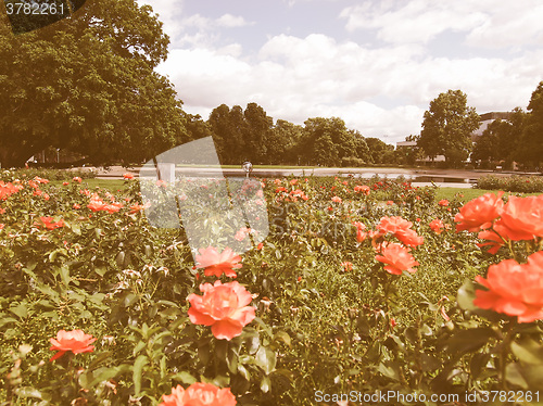 Image of Gardens in Stuttgart Germany vintage