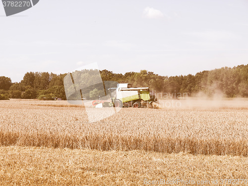 Image of  Harvest vintage