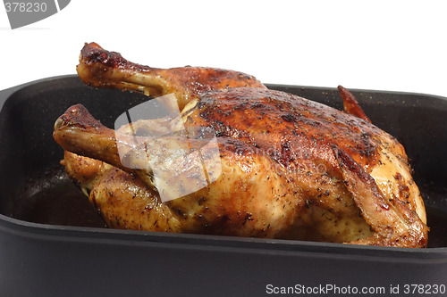 Image of Roasted Chicken