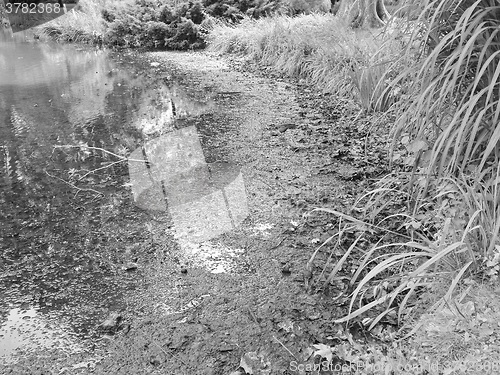 Image of Water pollution