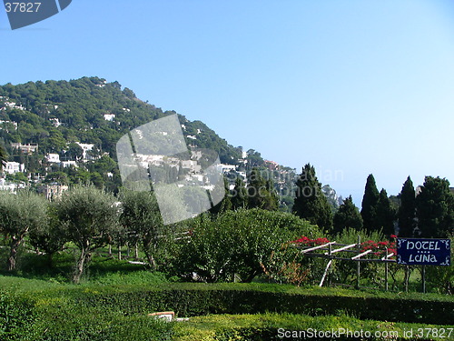 Image of Capri, Italy