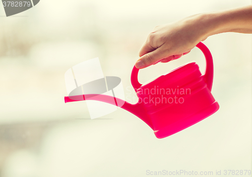 Image of close up of woman hand holding watering can