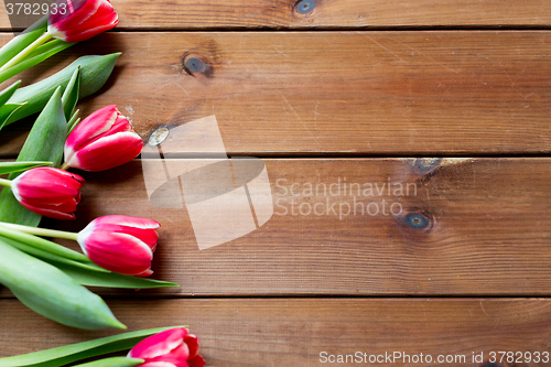 Image of close up of tulip flowers on wooden table