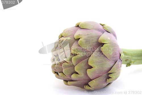 Image of Artichoke