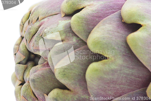 Image of Artichoke close-up