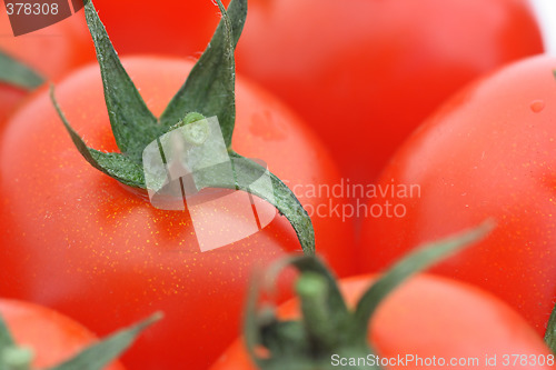 Image of Tomato background