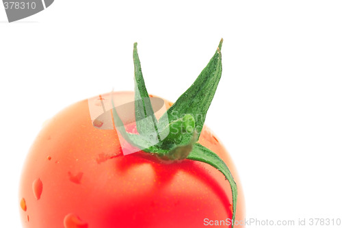 Image of Tomato