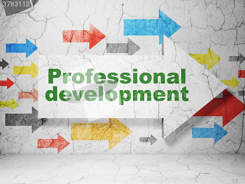 Image of Education concept: arrow with Professional Development on grunge wall background
