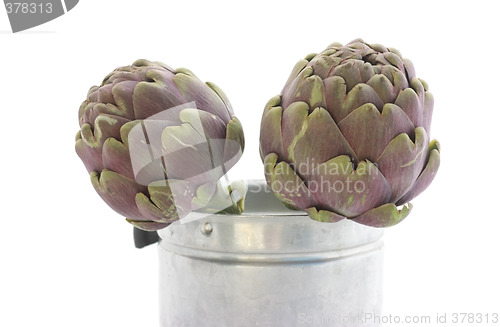 Image of Two artichokes