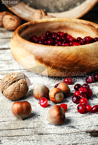 Image of Ripe and flavorful cranberries