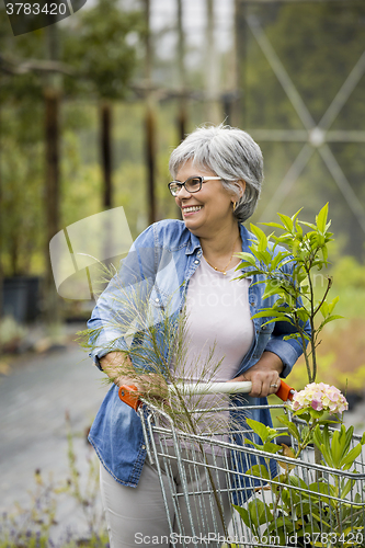 Image of Shopping in a greenhouse