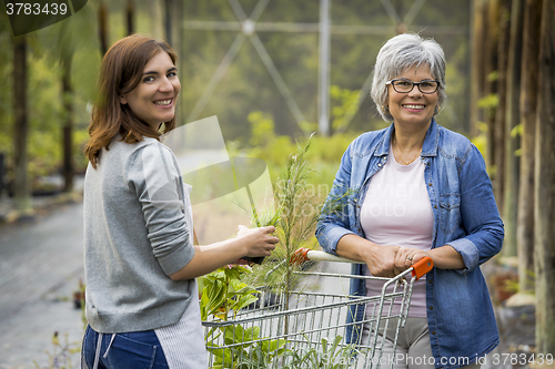 Image of Worker and customer in a green house