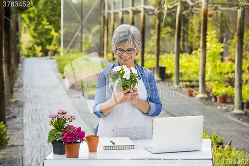 Image of Working in a flower shop