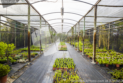 Image of Greenhouse