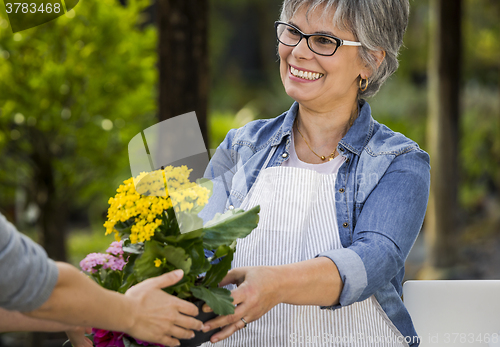 Image of Working in a flower shop