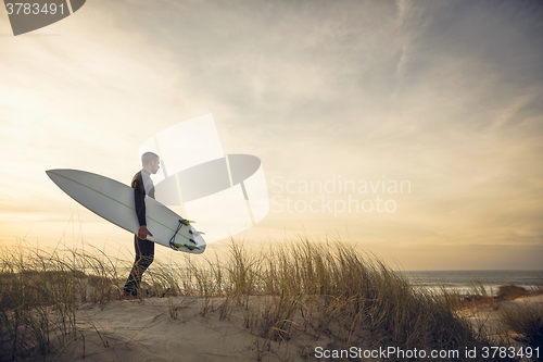 Image of Searching for the swell