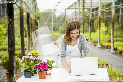 Image of Woman working in a flower shop