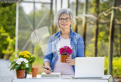 Image of Working in a flower shop