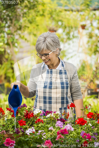 Image of Mature woman watering flowers