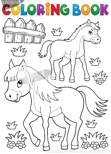 Image of Coloring book horse with foal theme 1