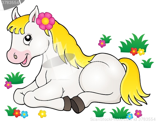 Image of Horse topic image 3