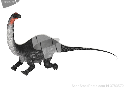 Image of Dinosaur Apatosaurus on White