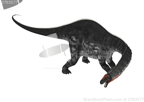 Image of Dinosaur Apatosaurus on White