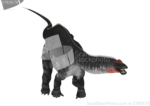 Image of Dinosaur Apatosaurus on White