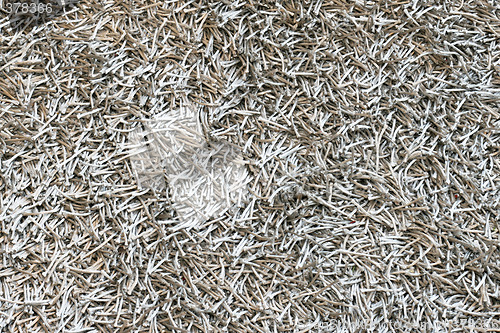 Image of Silver carpet