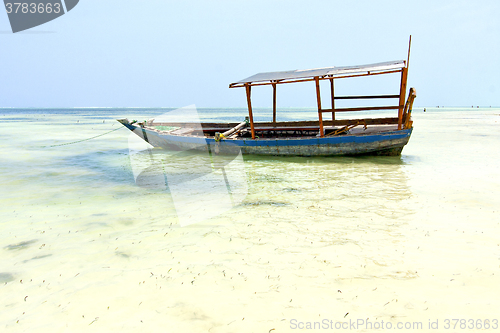 Image of beach   in zanzibar seaweed       sand isle  sky    sailing