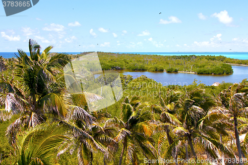 Image of isla contoy   sand   in mexico froath   day  wave