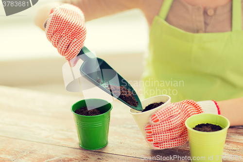 Image of close up of woman hands with trowel sowing seeds