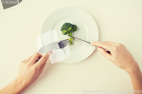 Image of close up of woman hands eating broccoli