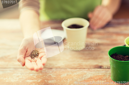 Image of close up of woman hand holding seeds