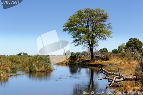 Image of African landscape with river