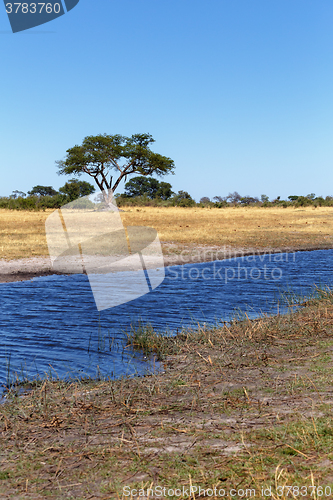 Image of African landscape with river