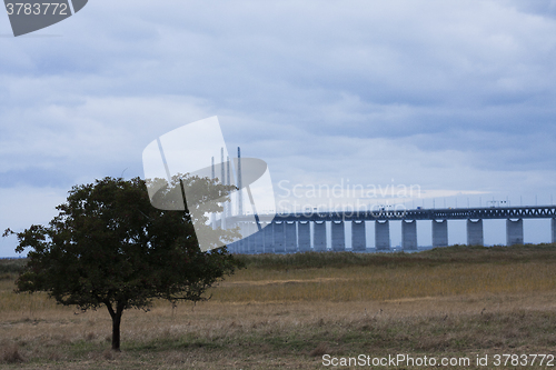 Image of bridge