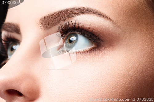Image of The beautiful face of young woman with cleanf fresh skin 