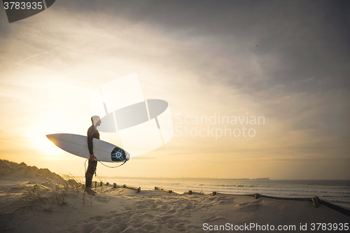 Image of Searching for the swell