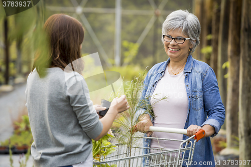 Image of Worker and customer in a green house