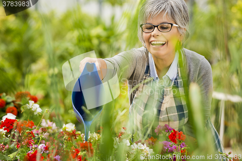 Image of Mature woman watering flowers