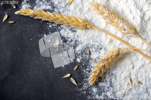 Image of whole flour and wheat ears