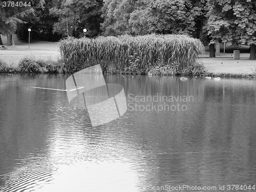 Image of Gardens in Stuttgart, Germany