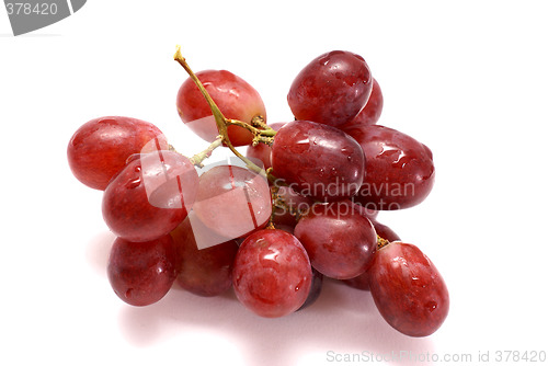 Image of bunch of grapes